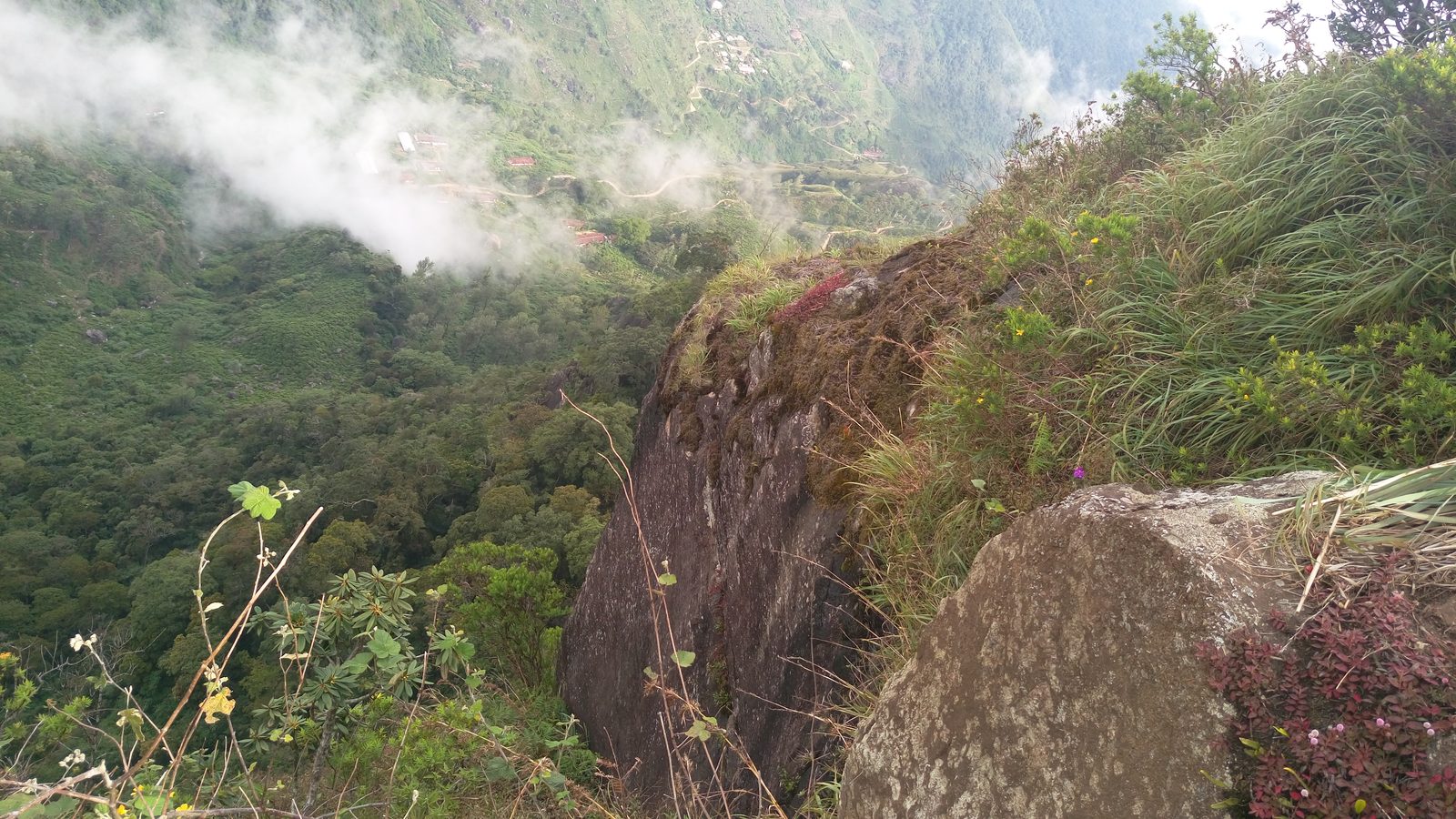 Horton Plains / World's End