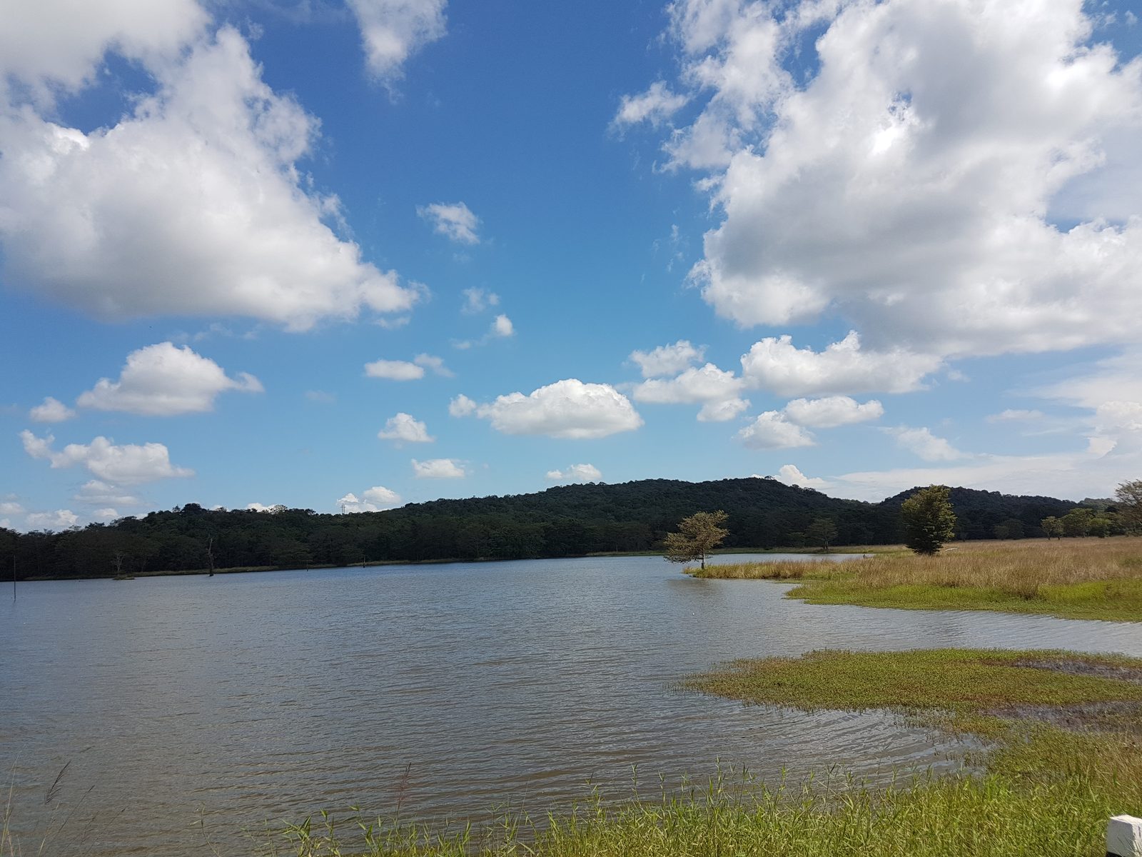 Kaudulla National Park