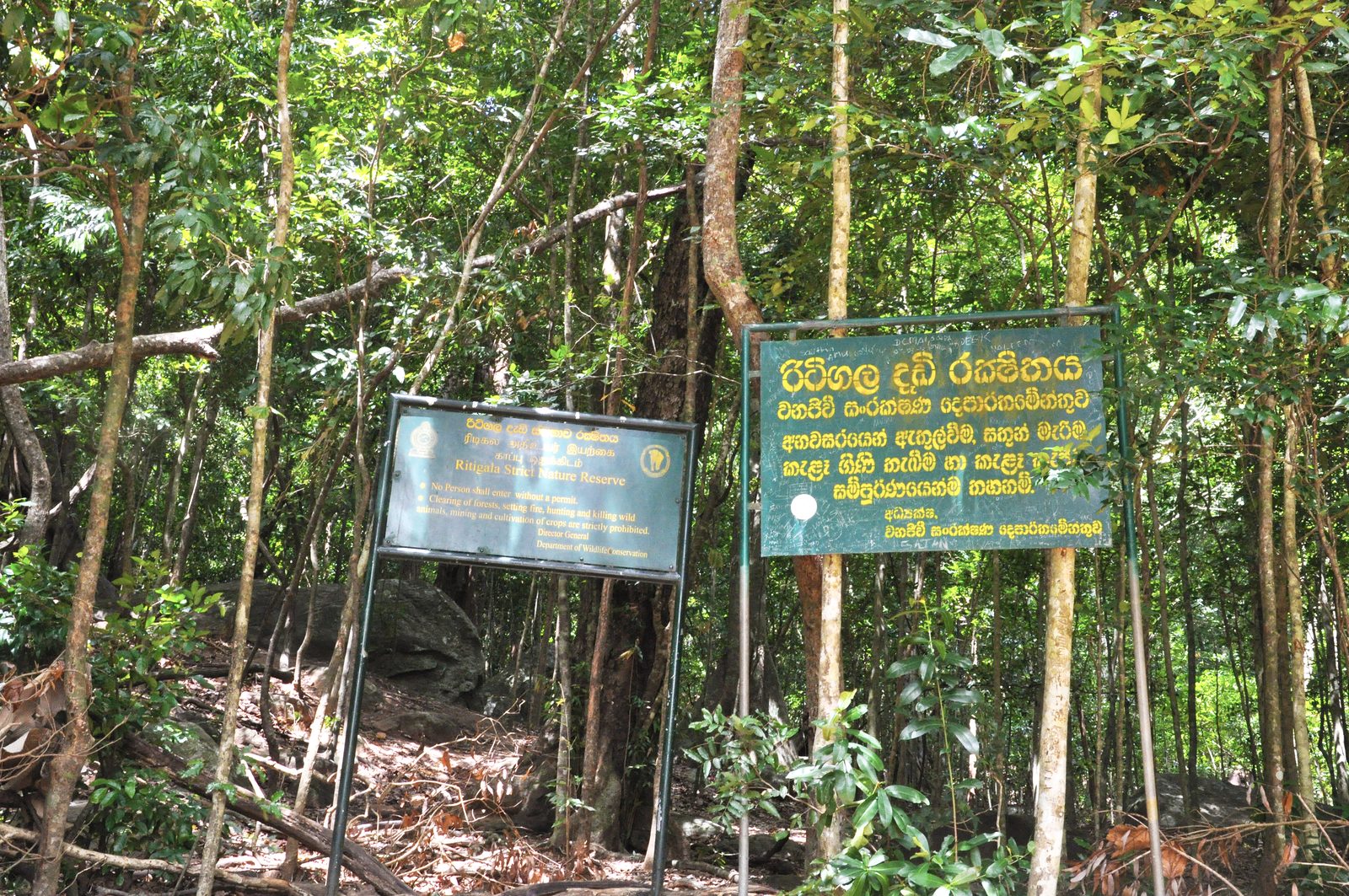 Ritigala