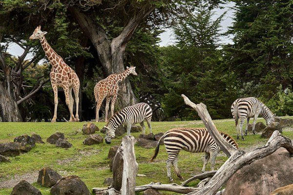 Wasgamuwa National Park